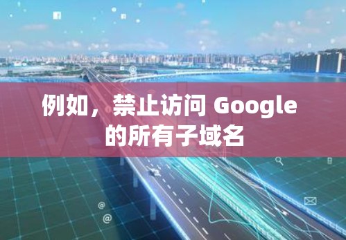 例如,禁止访问 Google 的所有子域名