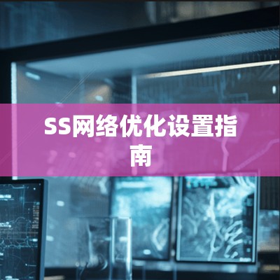 SS网络优化设置指南