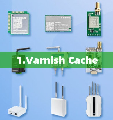 1.Varnish Cache