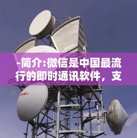 -简介:微信是中国最流行的即时通讯软件，支持聊天、朋友圈、支付等功能