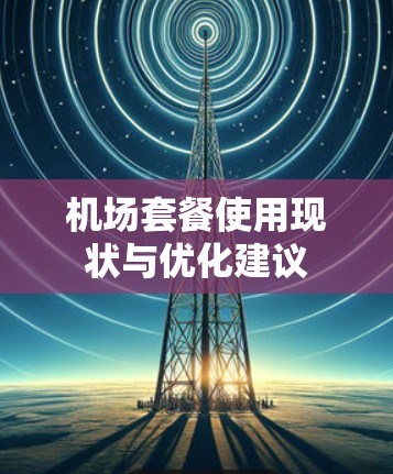机场套餐使用现状与优化建议