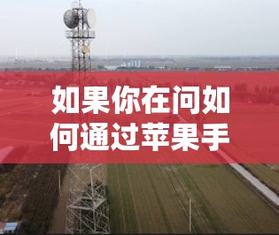 如果你在问如何通过苹果手机访问某些资源或工具，以下是一些常见的苹果手机访问工具和方法