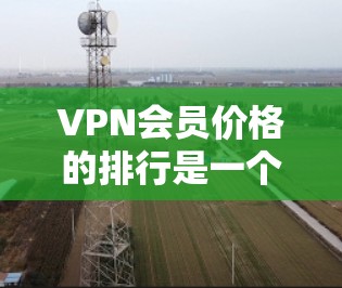 VPN会员价格的排行是一个复杂的过程,涉及多个因素,包括服务质量、功能、隐私保护、地区覆盖等。以下是对VPN会员价格的分析和总结