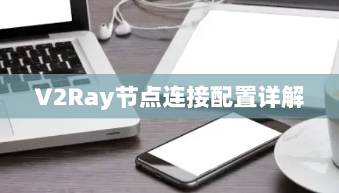 V2Ray节点连接配置详解