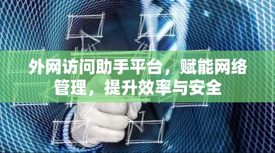 外网访问助手平台，赋能网络管理，提升效率与安全