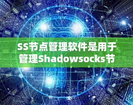 SS节点管理软件是用于管理Shadowsocks节点的工具，帮助用户有效管理和监控这些节点。以下是对SS节点管理软件的详细分析和总结