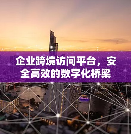 企业跨境访问平台,安全高效的数字化桥梁