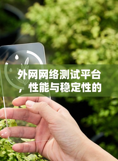 外网网络测试平台，性能与稳定性的保障