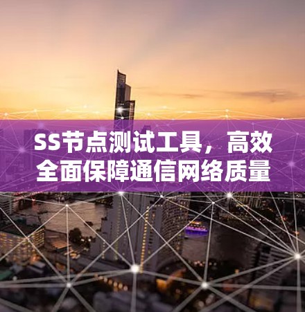 SS节点测试工具,高效全面保障通信网络质量