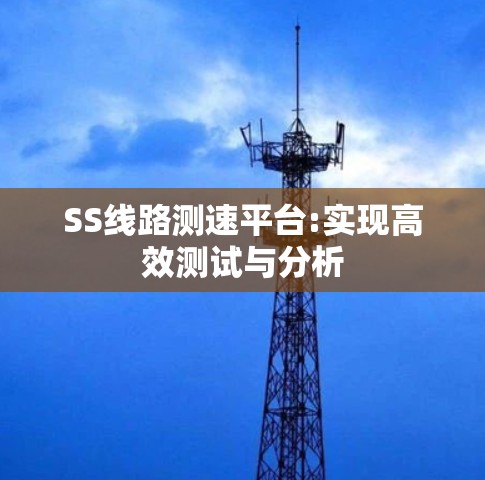 SS线路测速平台:实现高效测试与分析