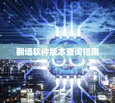 翻墙软件版本查询指南
