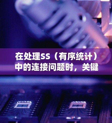 在处理SS(有序统计)中的连接问题时,关键在于确保数据结构能够高效地支持插入和查询操作,同时保持有序状态。以下是详细的处理步骤