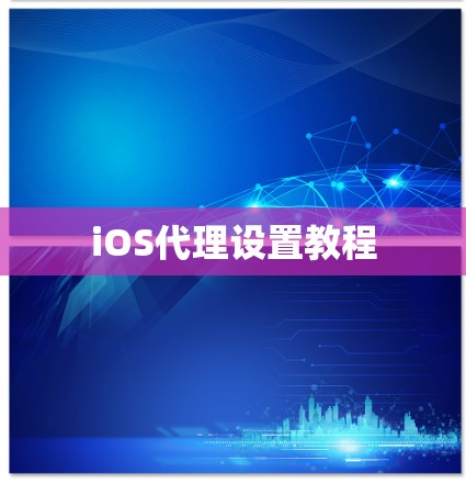 iOS代理设置教程