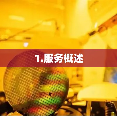 1.服务概述