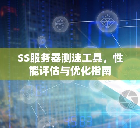 SS服务器测速工具,性能评估与优化指南 SS服务器测速工具,性能评估与优化指南