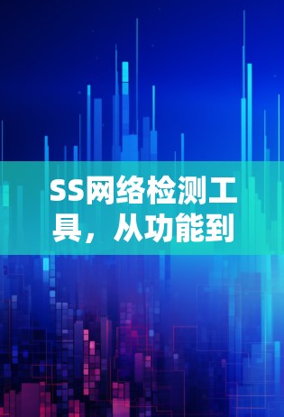 SS网络检测工具,从功能到应用的深度解析