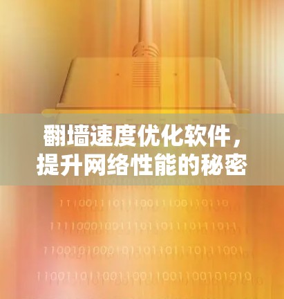 翻墙速度优化软件,提升网络性能的秘密武器