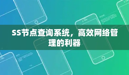 SS节点查询系统，高效网络管理的利器