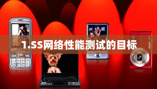 1.SS网络性能测试的目标
