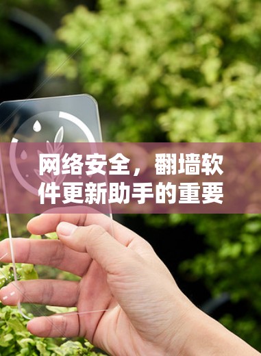 网络安全，翻墙软件更新助手的重要性