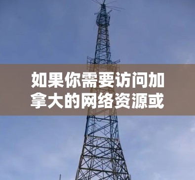 如果你需要访问加拿大的网络资源或想要在加拿大使用VPN服务，以下是一些常见的加拿大VPN访问方案和推荐