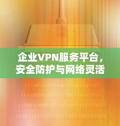 企业VPN服务平台,安全防护与网络灵活性的双重保障