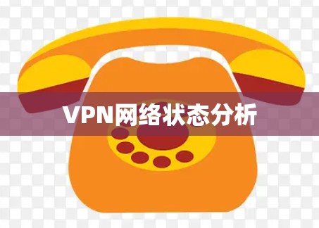 VPN网络状态分析