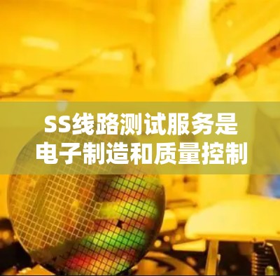 SS线路测试服务是电子制造和质量控制中的一个关键环节,主要用于验证和确保单个模块或组件的完整性和功能性。以下是关于SS线路测试服务的详细解释