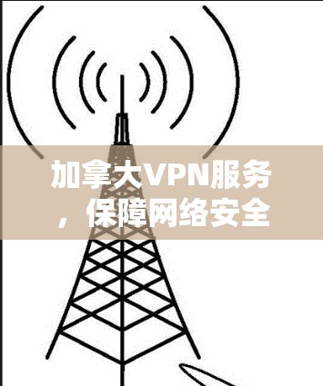 加拿大VPN服务,保障网络安全与隐私